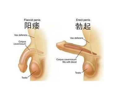 天津蓟州比较好的泌尿男科